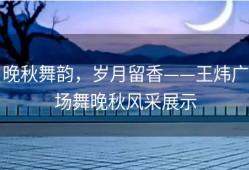 晚秋舞韵，岁月留香——王炜广场舞晚秋风采展示