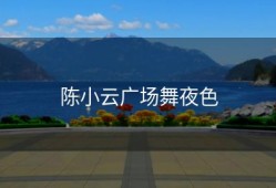 陈小云广场舞夜色