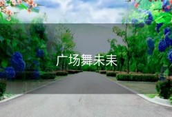 广场舞未耒