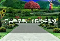 兄弟手牵手广场舞教学视频