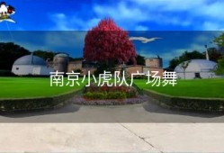 南京小虎队广场舞