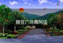 糖豆广场舞阿佳