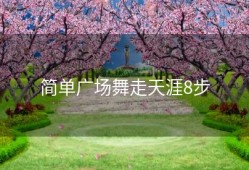 简单广场舞走天涯8步