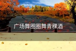 广场舞圈圈舞青稞酒
