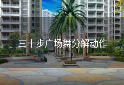 三十步广场舞分解动作
