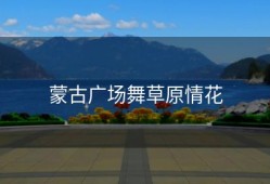 蒙古广场舞草原情花