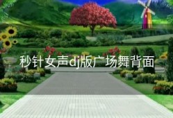 秒针女声dj版广场舞背面