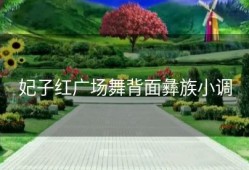 妃子红广场舞背面彝族小调