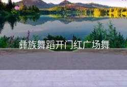 彝族舞蹈开门红广场舞