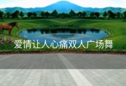 爱情让人心痛双人广场舞