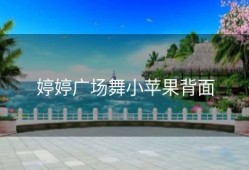 婷婷广场舞小苹果背面