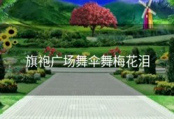 旗袍广场舞伞舞梅花泪