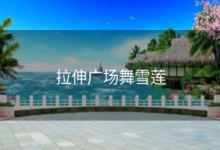 拉伸广场舞雪莲