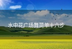 水中花广场舞简单十六步