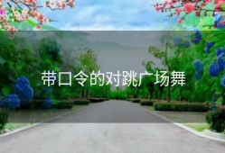 带口令的对跳广场舞