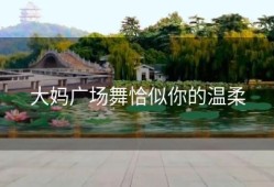 大妈广场舞恰似你的温柔