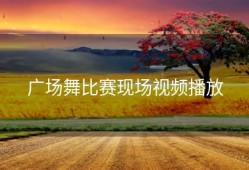 广场舞比赛现场视频播放