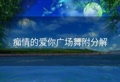 痴情的爱你广场舞附分解