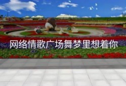 网络情歌广场舞梦里想着你