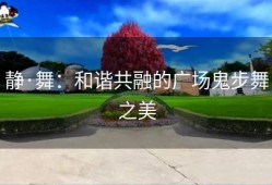 静·舞：和谐共融的广场鬼步舞之美