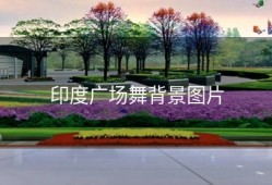 印度广场舞背景图片