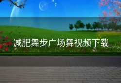 减肥舞步广场舞视频下载