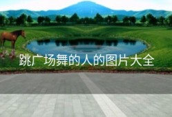 跳广场舞的人的图片大全