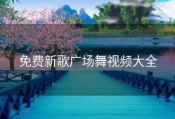 免费新歌广场舞视频大全