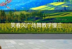 笑春风广场舞教学慢三