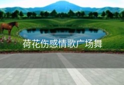 荷花伤感情歌广场舞