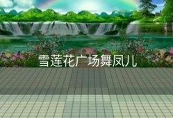 雪莲花广场舞凤儿
