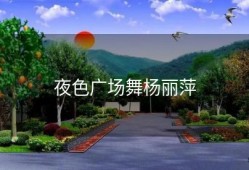 夜色广场舞杨丽萍