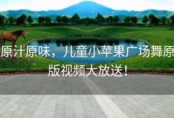 原汁原味，儿童小苹果广场舞原版视频大放送！
