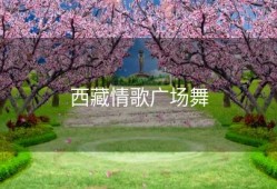 西藏情歌广场舞