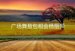 广场舞敖包相会杨丽萍