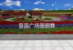 茵茵广场圈圈舞