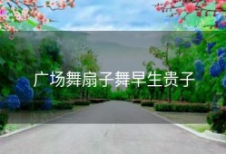 广场舞扇子舞早生贵子