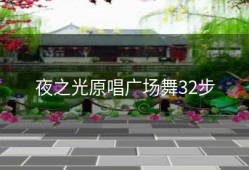夜之光原唱广场舞32步