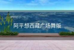 阿平想西藏广场舞版