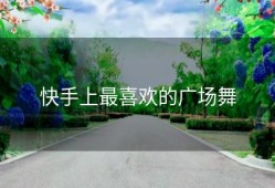 快手上最喜欢的广场舞