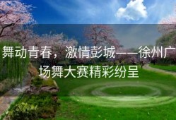 舞动青春，激情彭城——徐州广场舞大赛精彩纷呈