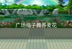 广场扇子舞荞麦花