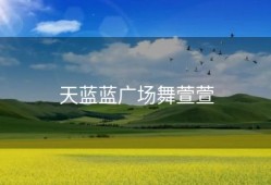 天蓝蓝广场舞萱萱