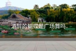 酒醉的蝴蝶是广场舞吗