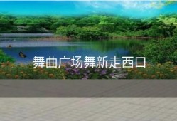 舞曲广场舞新走西口