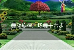 舞动旋律广场舞十六步