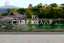 广场舞老年双人八步