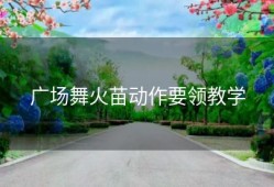 广场舞火苗动作要领教学