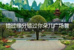 错过缘分错过你朵儿广场舞