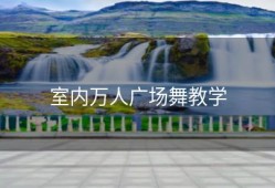 室内万人广场舞教学